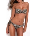 Wild V-wire Bandeau Bikini Set in Leopard Print