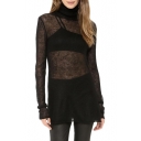 Black Fitted Sheer High Neck Long Sleeve Sweater