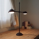 2 Light Bronze Desk Lamp Task Lighting 