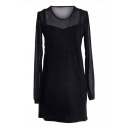 Black Long Sleeve Sheer Net Insert Dress