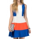 Color Block Sleeveless Skater Dress with Zip Back