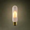 Frosted 220V E27 60W T10 Edison Bulb