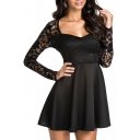 Black Scoop Lace Long  Sleeve A-Line Pleated Dress