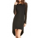 Black Long Sheer Sleeve High-Low Hem Dress