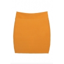 Plain Mid Rise Fitted Mini Pencil Skirt