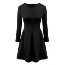 Plain Round Neck Zipper Back Long Sleeve Fit and Flare Dress
