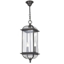 2 Light Pewter Outdoor LED Pendant Lighting with Clear Glass Shade