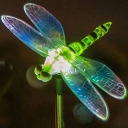 Dragonfly Shape 34'' H Color Changing Outdoor Solar LED Light Garden Light for Christmas, Party