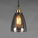 Single Light Industrial Book Shop Ceiling Fixture with Dark Glass Shade
