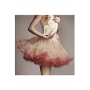 Lovely Women's Mesh Layered Color Block Mini A-line Bubble Skirt