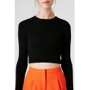 Sexy Round Neck Long Sleeve Plain Cropped Sweater