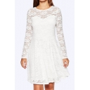 Women's Sweet Lace Patched Round Neck Long Sleeve Basic Winter's A-Line Mini Dress