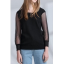 Lace Inserted Round Neck Sheer Mesh Long Sleeve Pullover Plain Sweater