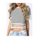 Women's Hollow Out Lace Patchwork Striped Color Block Cropped Tee