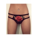 Chic Floral Embroidered Lace Inserted Sexy Hollow Out Knickers