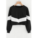 Simple Color Block Round Neck Long Sleeve Pullover Cropped Sweatshirt