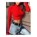 Simple Plain High Neck Long Sleeve Cropped Tee