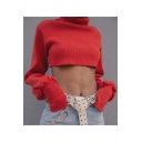 Sexy Turtleneck Long Sleeves Ribbed Knitted Cropped Pullover Sweater