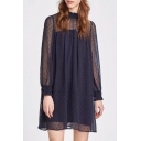 Hot Style High Neck See Through Long Sleeve Polka Dotted Shift Mini Patchwork Dress