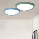 Post-modern Super Thin Flush Mount Lighting Macaroon Style Green/Blue Mango Shaped Led Ceiling Lights 12/18/26W Light-Adjustable 3 Sizes Available