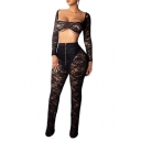 Sexy Square Neck Long Sleeve Cropped Top with Zip Fly High Waist Flare Pants Sheer Lace Co-ords
