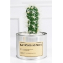 Artificial Plants Plastic Cactus With Silver Can Pot