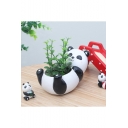 Adorable Mini Panda Resin Planter for Succulents Desktop Flowerpot