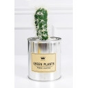 Gift Desktop Faux Cactus Can Pot