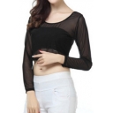 Sexy Sheer Mesh Round Neck Long Sleeve Cropped Tee