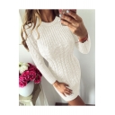 Women's Winter Graceful Solid Round Neck Long Sleeve Cable-Knitted Mini Pencil Sweater Dress