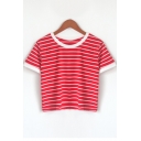 Classic Striped Print Contrast Trim Round Neck Short-Sleeved Cropped T-Shirt
