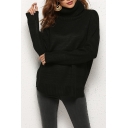 Basic Plain Turtleneck Long Sleeve Split Side Fitted Pullover Sweater
