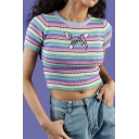 Chic Embroidered Colorful Striped Print Crewneck Short Sleeve Cropped Knit T-Shirt
