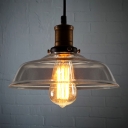 Bronze/Brass 1 Light Single LED Pendant in Clear Glass Shade