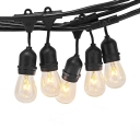 4ft Open Bulb String Lamp 1 Pack 15 LED Remote Control Hanging Lights for Patio Garden