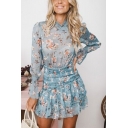 Fashion Blue Floral Printed Long Sleeve Stand Collar Womens Mini A-Line Ruffled Dress