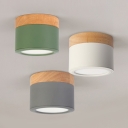 Green/Gray/White Ceiling Mount Light Nordic Stylish Acrylic Down Light in Warm/White for Hallway