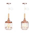 Industrial Caged Pendant Light with/without Crystal 1 Light Metal Hanging Lamp for Cafe Bar