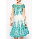 Women's New Elegant Floral Print Cap Sleeve Round Neck Lace Patch Midi Blue Fitted A-Line Dress