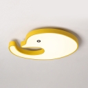 Acrylic Dolphin LED Ceiling Fixture Kindergarten Green/Pink/Yellow Flush Light in Warm/White