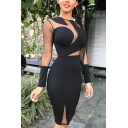 Women's Sexy Night Club Round Neck Long Sleeve Zip Back Plain Sheer Lace Patched Bodycon Midi Dress