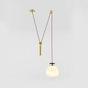 Metal Cone/Dome/Globe Pendant Light 1 Light Simple Style Hanging Light with Pulley for Living Room