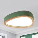 Teardrop Shape LED Flush Mount Light Macaron Acrylic Gray/Green/White Ceiling Lamp in Warm White/White