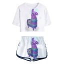 Popular Game Hobby Horse Printed Crop Tee with Loose Sport Dolphin Shorts Two-Piece Set in White