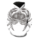 New Stylish 3D Crab Pattern Basic Long Sleeve White Sport Hoodie