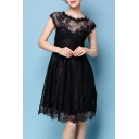 Womens Chic Fashion Round Neck Cap Sleeve Black Midi Lace Party Dress