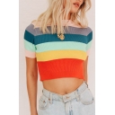 Winter Hot Fashion Rainbow Striped Printed Shorts Sleeve Cropped Knitwear Cami Tee