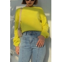 Girls Basic Solid Color Balloon Long Sleeve Round Neck Cropped Pullover Sweatshirt Knitted Sweater