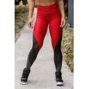 Women's Gym Mid Rise Stripe Print Sheer Mesh Patched Contrasted Stretch Ankle Fitted Jogger Leggings in Red