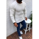 Simple Plain Cable Knitted Long Sleeve Round Neck Slim Fit Pullover Sweater for Men